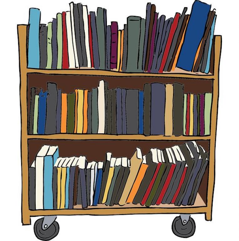 428 bibliotheque fiche