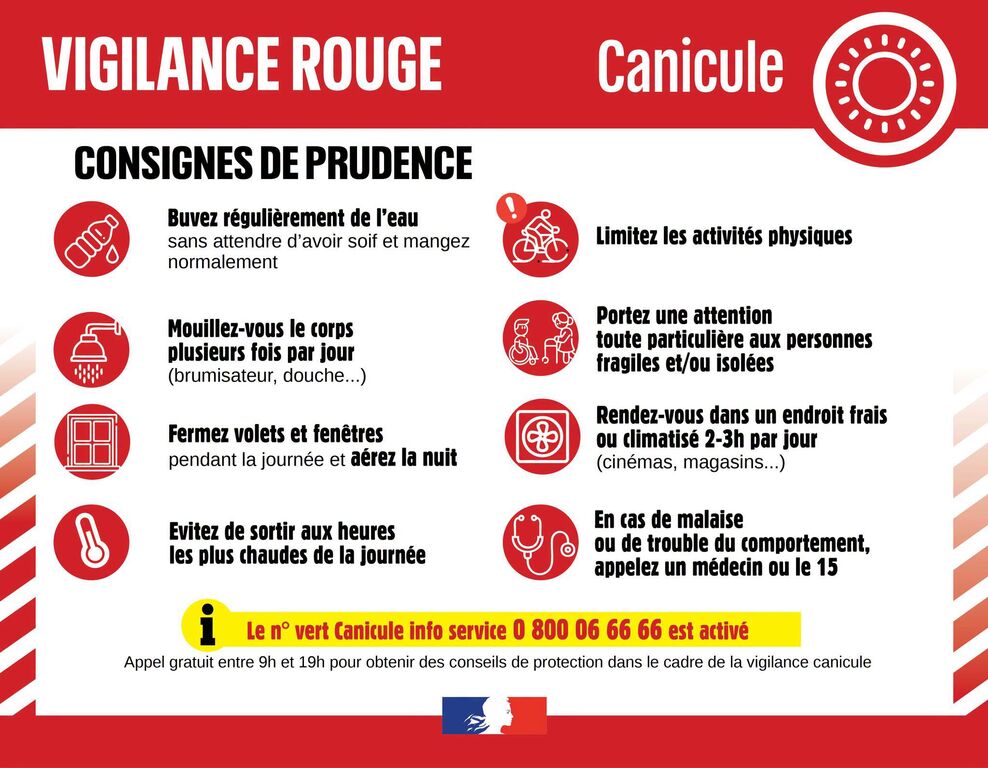canicule.jpeg