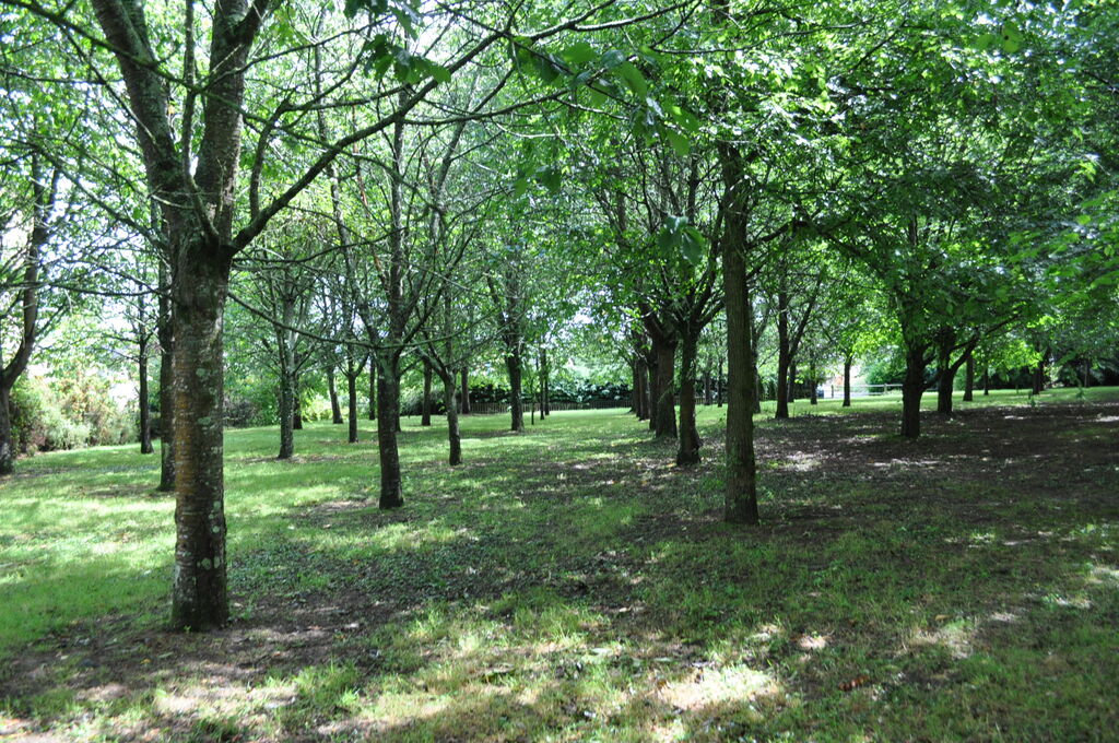 dsc 0119